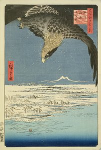 Eagle Over 100,000 Acre Plain at Susaki, Fukagawa (